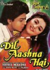 دانلود فیلم Dil Aashna Hai (…The Heart Knows) 1992