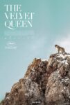 دانلود فیلم The Velvet Queen 2021