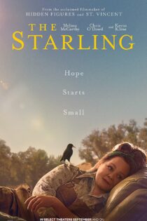 دانلود فیلم The Starling 2021