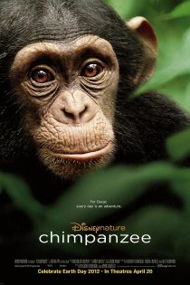 دانلود فیلم Chimpanzee 2012