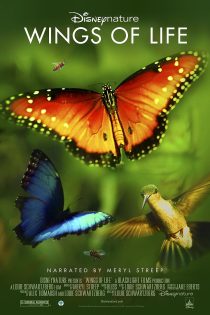 دانلود فیلم Disneynature: Wings of Life 2011