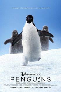 دانلود فیلم Penguins 2019