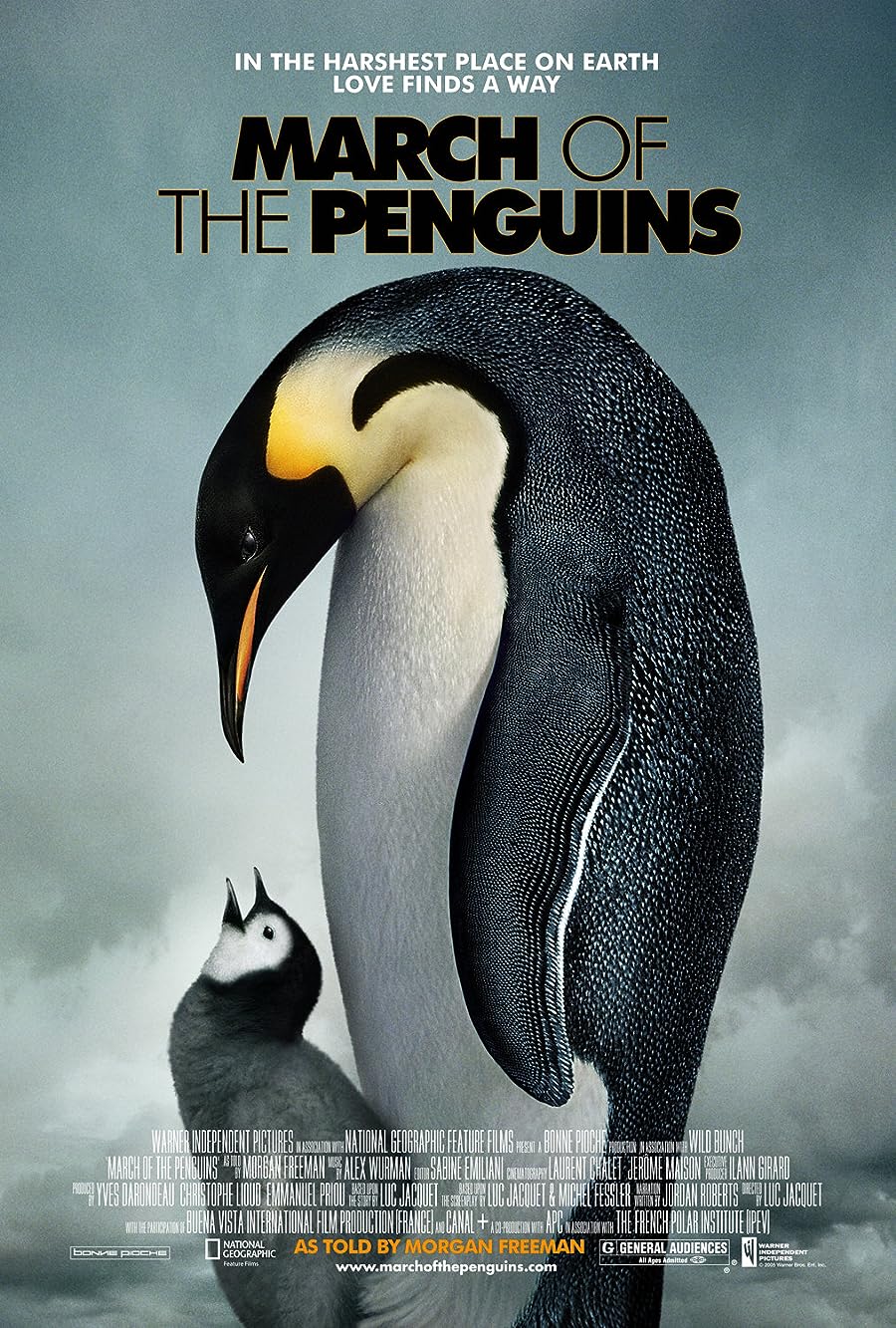 دانلود فیلم March of the Penguins 2005 | رژه پنگوئن ها