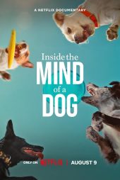 دانلود فیلم درون ذهن یک سگ | Inside the Mind of a Dog 2024