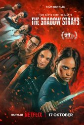 دانلود فیلم سایه های ولگرد | The Shadow Strays 2024